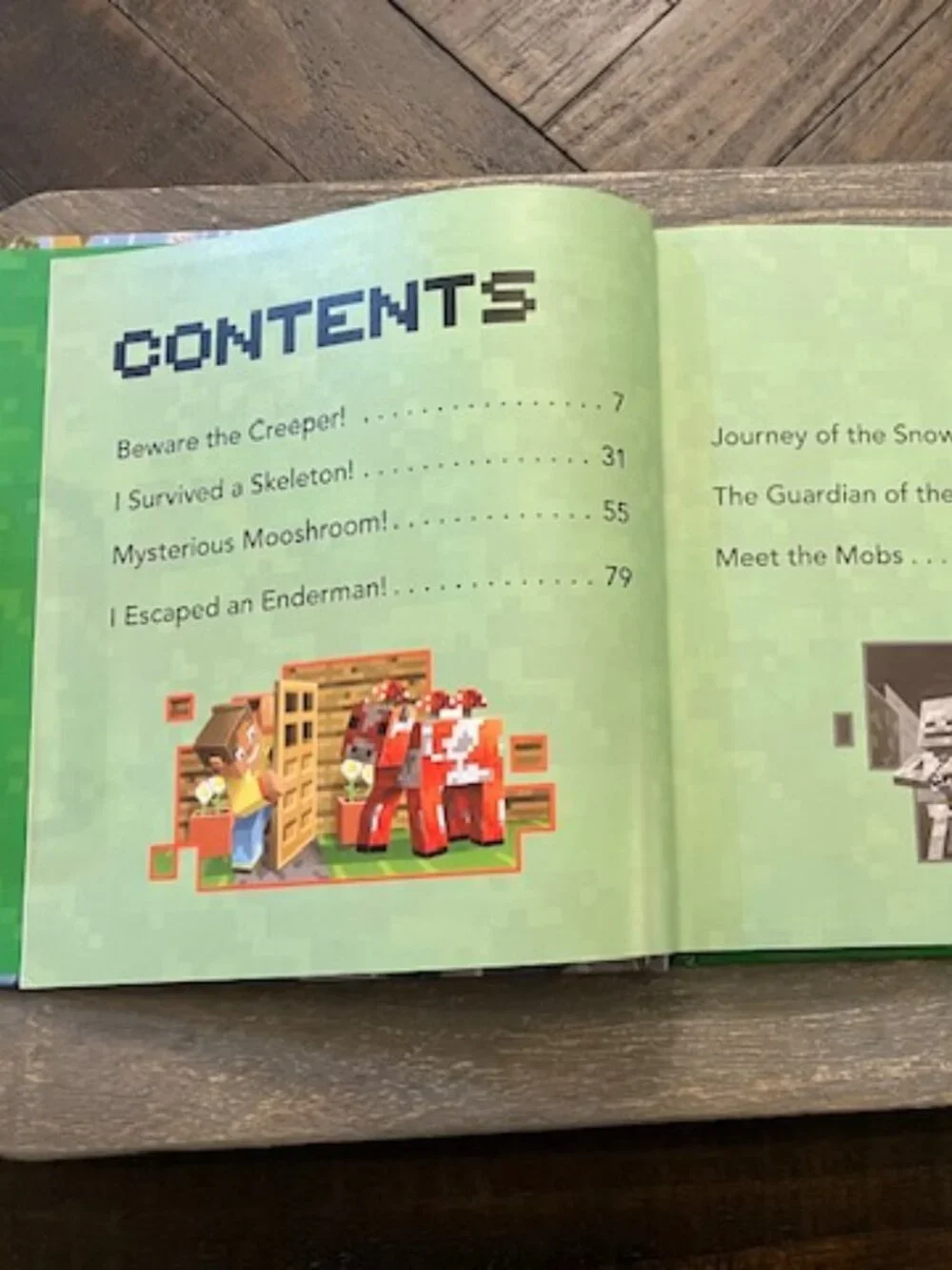 Minecraft Storybook Collection Book (Hardback)